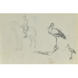 Józef PIENIĄŻEK (1888-1953), Voľné skice: jazdec na koni, skice bociana
