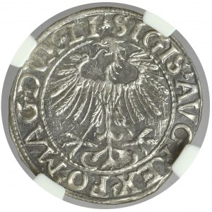 Sigismund II Augustus, Half groschen 1557 Vilnius