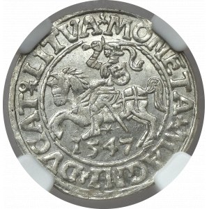 Sigismund II Augustus, Half groschen 1547 Vilnius