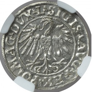 Sigismund II Augustus, Half groschen 1547 Vilnius