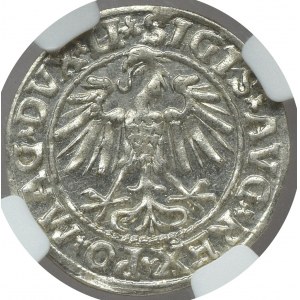 Sigismund II Augustus, Half groschen 1547 Vilnius