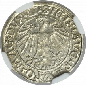 Zygmunt II August, Półgrosz 1548 Wilno