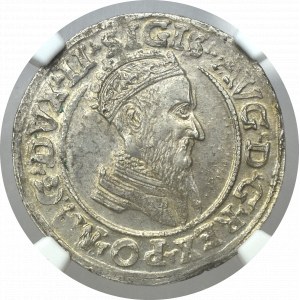 Sigismund II Augustus, 4 groschen 1569 Vilnius