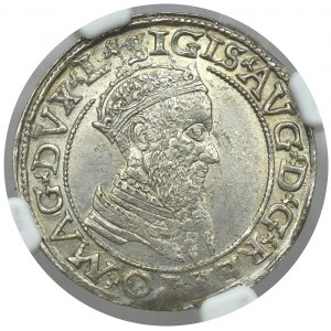 Zygmunt II August, Czworak 1566 Wilno
