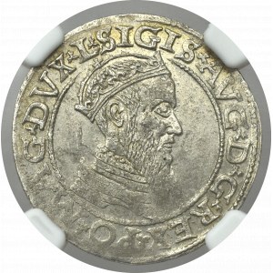 Sigismund II Augustus, 4 groschen 1565 Vilnius