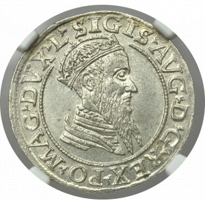 Zygmunt II August, Czworak 1568 Wilno
