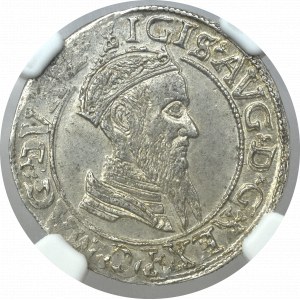 Sigismund II Augustus, 4 groschen 1567 Vilnius