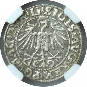 Sigismund II Augustus, Half groschen 1549 Vilnius