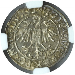 Sigismund II Augustus, Half groschen 1549 Vilnius