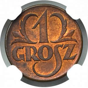 II Rzeczpospolita, 1 grosz 1923 - NGC MS65 RB