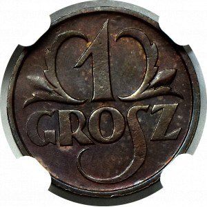 II Rzeczpospolita, 1 grosz 1925 - NGC MS65 BN