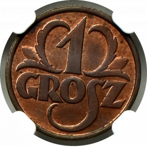 II Rzeczpospolita, 1 grosz 1931 - NGC MS65 RB