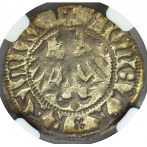 Casimir IV Jagiellon, Half groschen Cracow MK