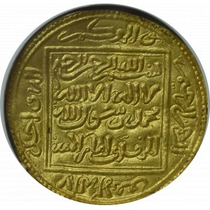 1/2 dinara Almuhad - GCN AU53