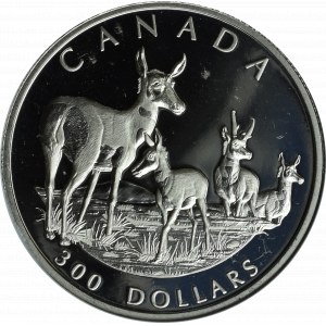 Kanada, 300 Dolarów 2000, Platyna - GCN PR70