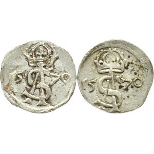 Zygmunt II August, lot dwudenarów 1570, Wilno