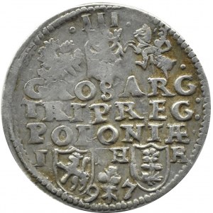 Zygmunt III Waza, trojak 1597, Poznań, odmiana z gałązką