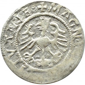 Zygmunt I Stary, półgrosz 1524 (odwrócona 4), Wilno, RZADKI