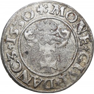 Zygmunt I Stary, szeląg 1530, Gdańsk
