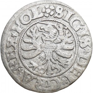 Zygmunt I Stary, szeląg 1531, Gdańsk BARDZO ŁADNY