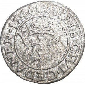 Zygmunt I Stary, szeląg 1546, Gdańsk BARDZO ŁADNY