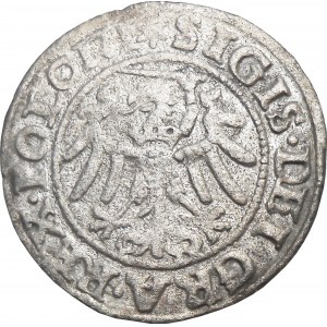 Zygmunt I Stary, szeląg 1546, Gdańsk BARDZO ŁADNY