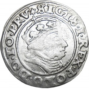Sigismund I the Old, penny 1540, Gdańsk BEAUTIFUL