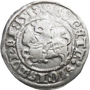 Zygmunt I Stary, półgrosz 1513, Wilno PEŁNA DATA