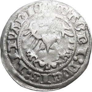 Zygmunt I Stary, półgrosz 1513, Wilno PEŁNA DATA