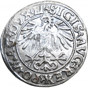 Sigismund II Augustus, half-penny 1549, Vilnius VERY BEAUTIFUL
