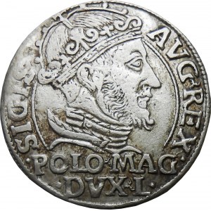 Zikmund II Augustus, penny 1548, Vilnius KRÁSNÝ