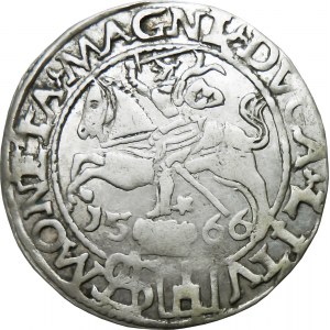 Sigismund II Augustus, Pfennig 1566, Tykocin SCHÖN