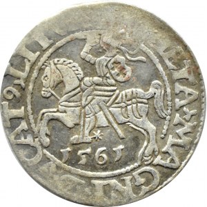 Zygmunt II August, półgrosz 1561, Wilno