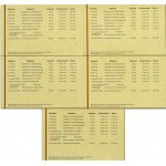 Niemcy, RFN, zestaw kompletów wybitych stemplem lustrzanym 1998, mennice A/D/F/G/J