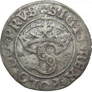 Zygmunt I the Old, 1531 shekel, Torun