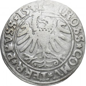 Zygmunt I Stary, grosz 1531, Toruń