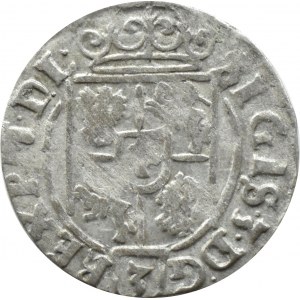 Zygmunt III Waza, półtorak 1625 Półkozic w tarczy, Bydgoszcz