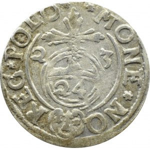 Zygmunt III Waza, półtorak 1623, herb Sas, Bydgoszcz