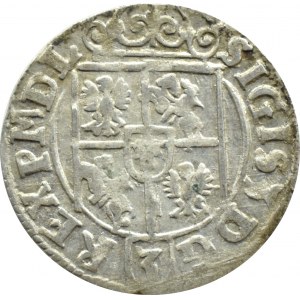 Zygmunt III Waza, półtorak 1623, herb Sas, Bydgoszcz