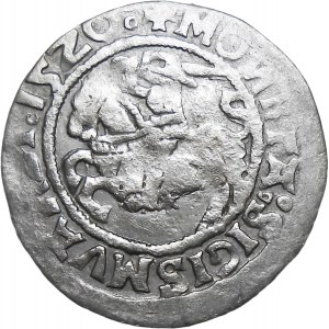 Zygmunt I Stary, półgrosz 1520, Wilno RZADKI