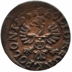 Jan II Kazimierz, szeląg koronny 1661, Ujazdów
