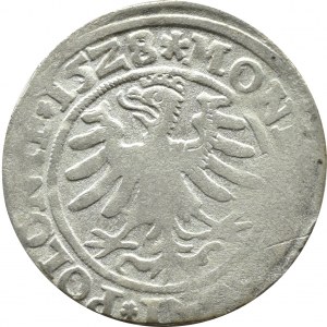 Zygmunt I Stary, grosz 1528, Kraków