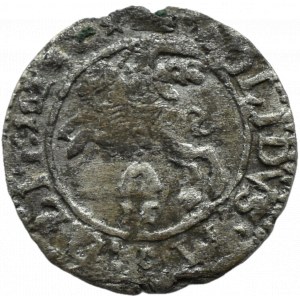 Zygmunt III Waza, szeląg 1623, Wilno