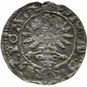 Zygmunt III Waza, szeląg 1623, Wilno