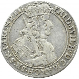 Prusy, Fryderyk Wilhelm I, ort 1681 HS, Königsberg (Królewiec)