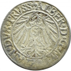 Prusy Książęce, Albrecht, grosz pruski 1541, Królewiec