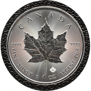 Kanada, Javorový list, Karol III, 5 USD 2024, Ottawa, UNC
