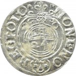 Zygmunt III Waza, półtorak 1620 herb Sas, Bydgoszcz