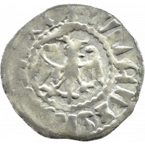 Ladislaus Jagiello, the Ruthenian Quarterly (1389-1394), Lviv