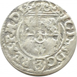 Zygmunt III Waza, półtorak 1619, herb Sas, Bydgoszcz